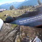 Paesaggi agro-forestali in Trentino